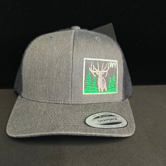Wyoming Hat