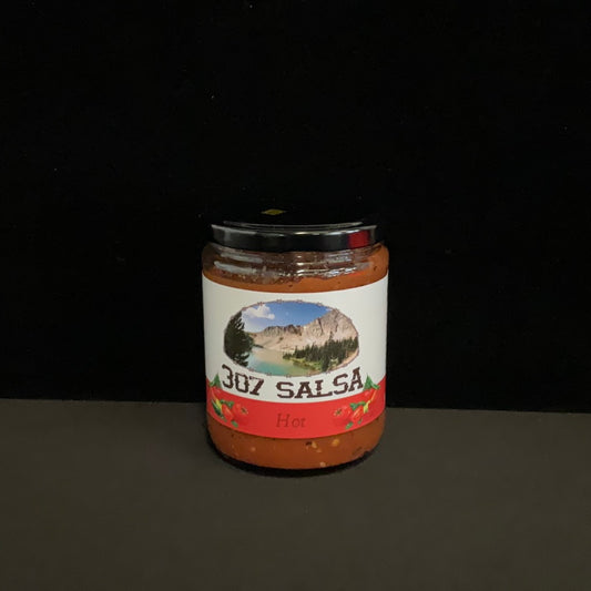307 Salsa Hot 16oz